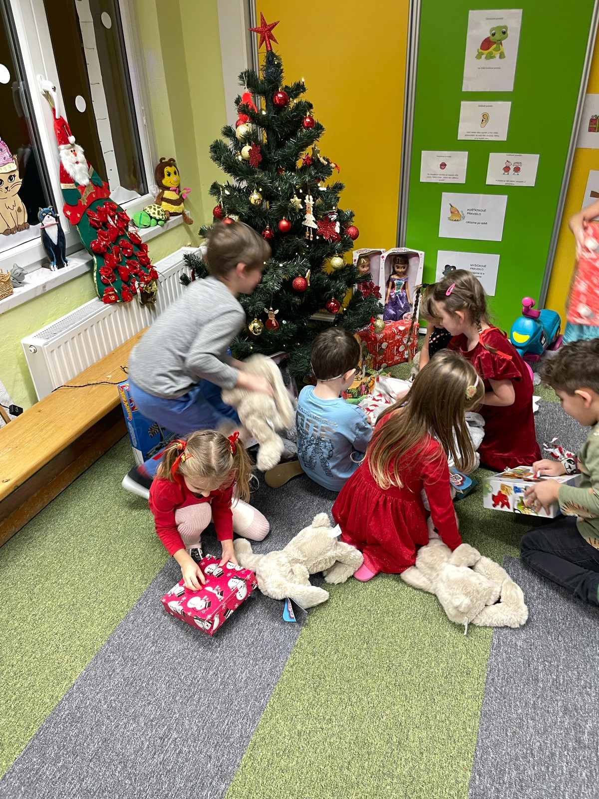 fotografie - 2026-01-06T071407.382.jpg